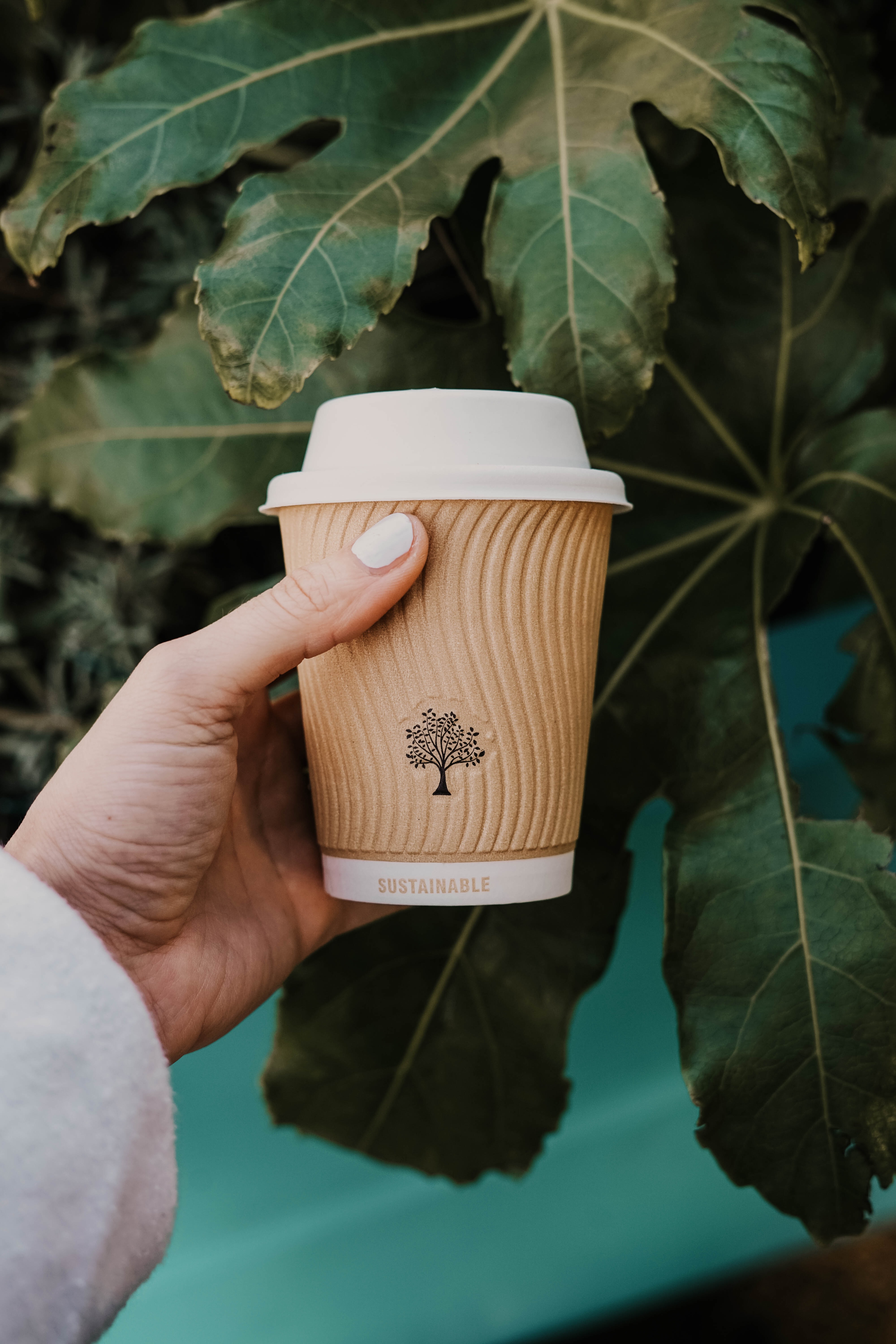 Sustainable coffee cup