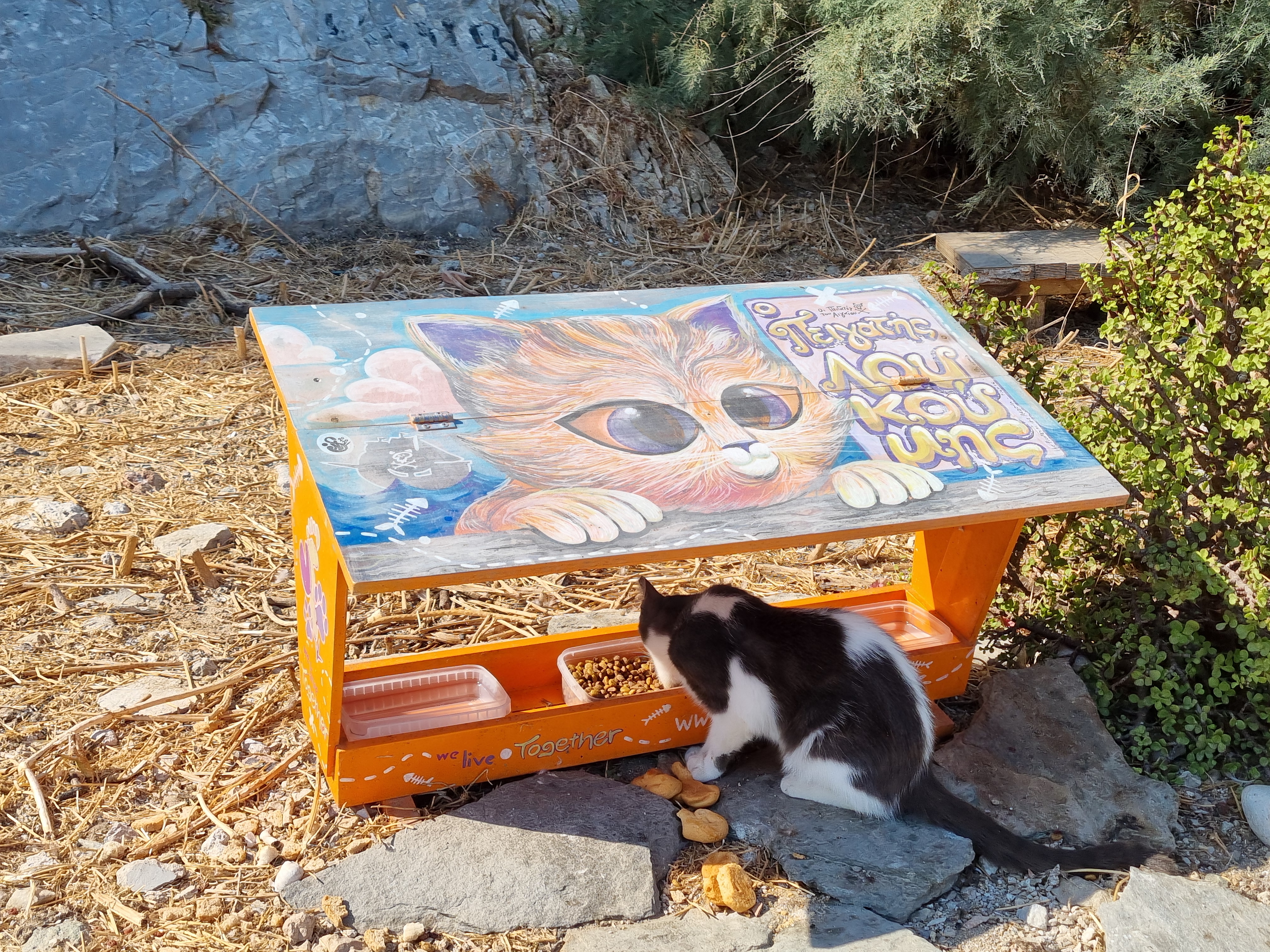 Cat feeding station, Ermoupoli, Syros